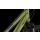 SSV 30% Aussteller Cube Nature Trapeze 28" shinymoss´n´black