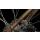 SSV 30% Aussteller Cube Nature Pro 28" gold´n´black