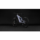Cube Stereo Hybrid ONE44 HPC SLX Evo 800 artline